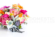 Styled Photo - Colorful Flowers