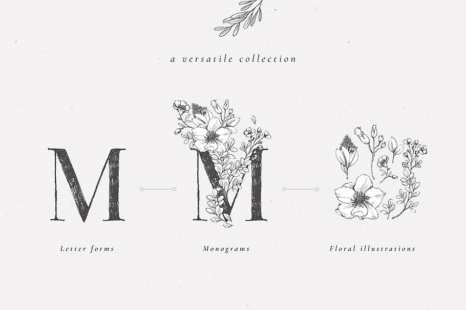 Country Botanicals & Monograms in Illustrations - product preview 8