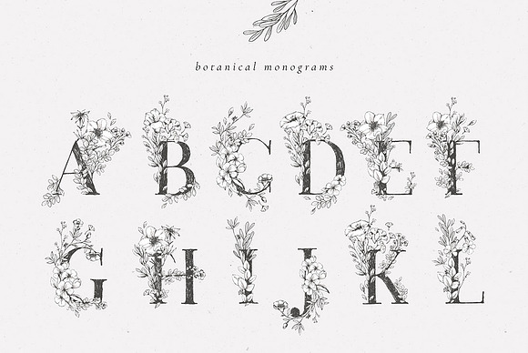 Country Botanicals & Monograms in Illustrations - product preview 1