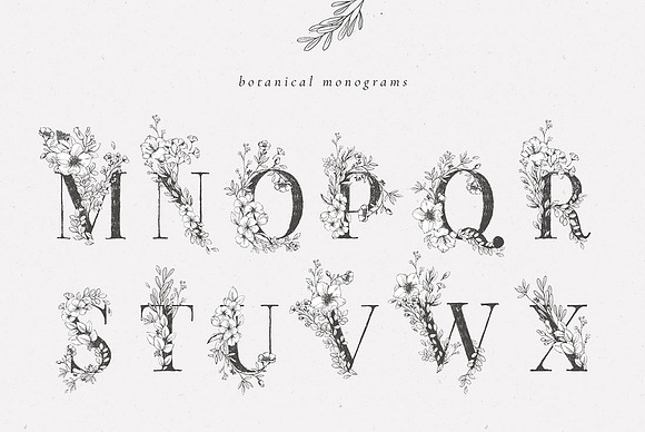 Country Botanicals & Monograms in Illustrations - product preview 2