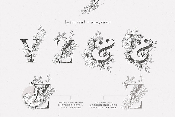 Country Botanicals & Monograms in Illustrations - product preview 3