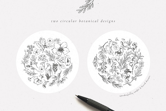 Country Botanicals & Monograms in Illustrations - product preview 8