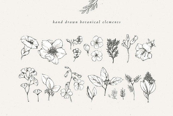 Country Botanicals & Monograms in Illustrations - product preview 14
