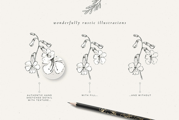 Country Botanicals & Monograms in Illustrations - product preview 15