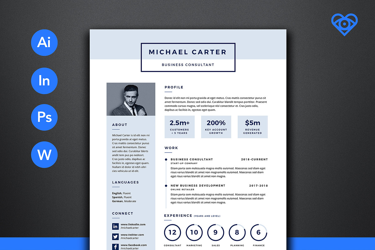 PRO Resume 1 in Resume Templates - product preview 8
