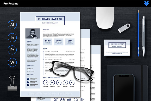 PRO Resume 1 in Resume Templates - product preview 1