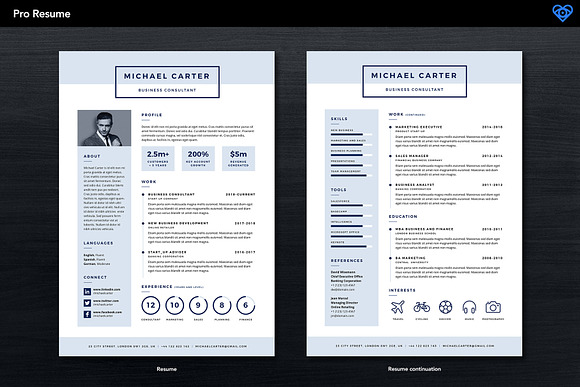 PRO Resume 1 in Resume Templates - product preview 2