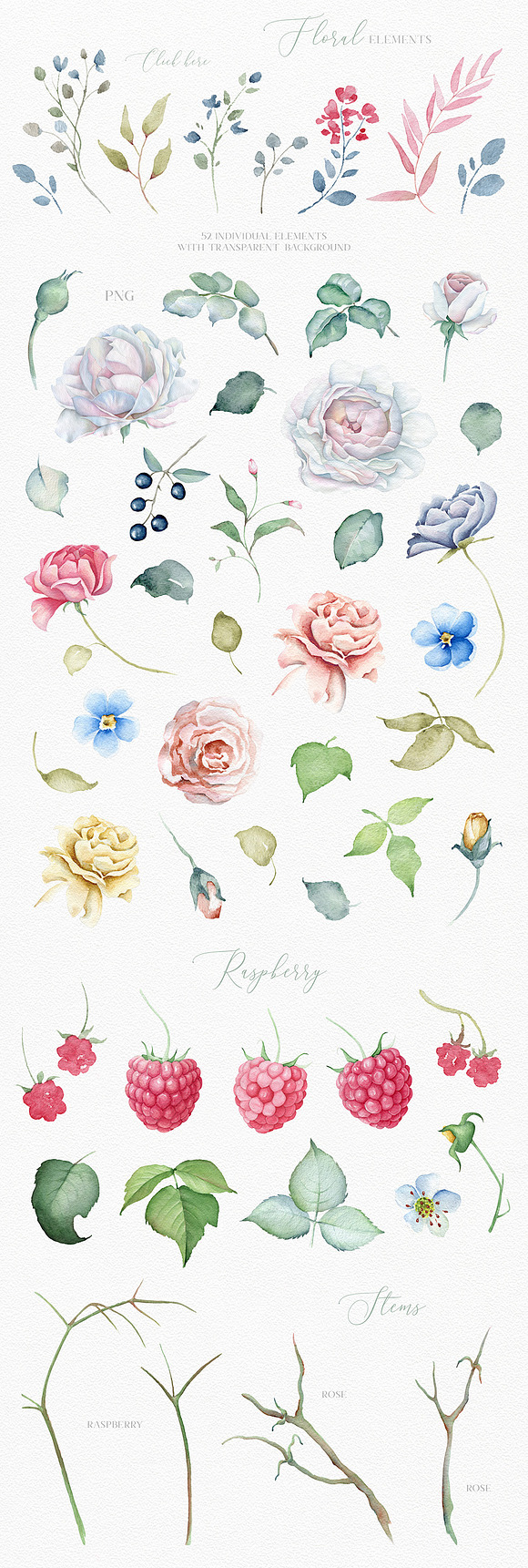 Delicate Watercolor Florals in Illustrations - product preview 22