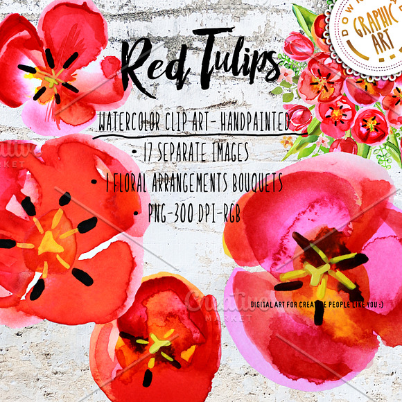 Red Tulips Watercolor Clipart in Illustrations - product preview 3