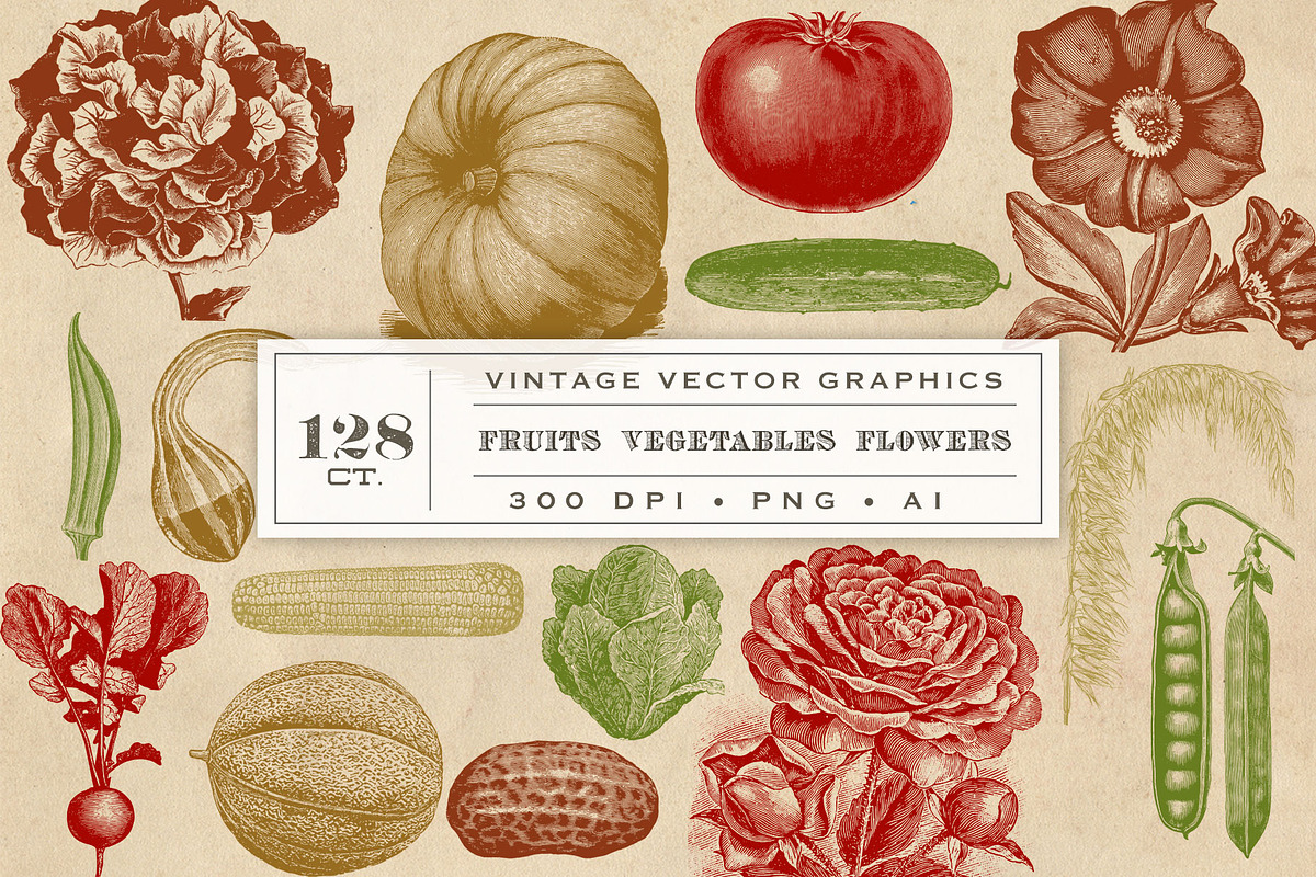Vintage Fruit Vegetables & Flowers in Objects - product preview 8