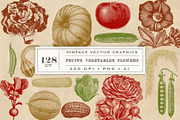 Vintage Fruit Vegetables & Flowers
