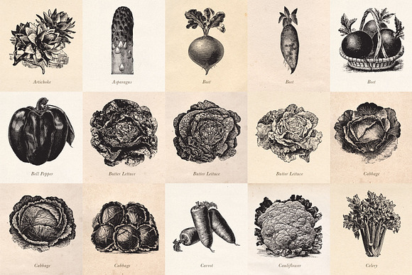 Vintage Fruit Vegetables & Flowers in Objects - product preview 1