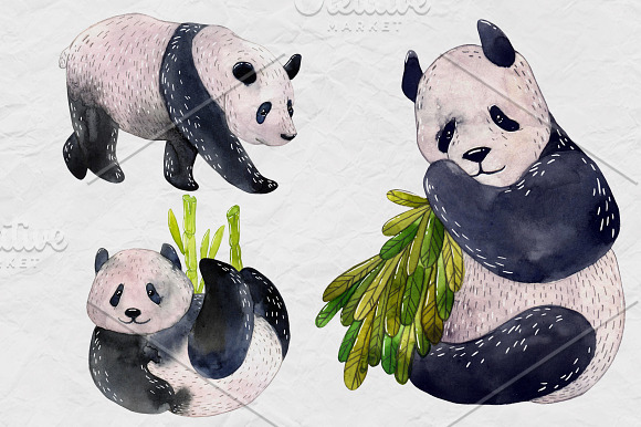Panda bears in Illustrations - product preview 1