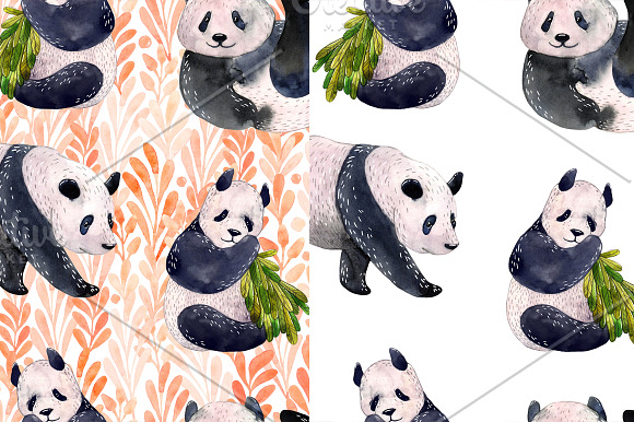Panda bears in Illustrations - product preview 5