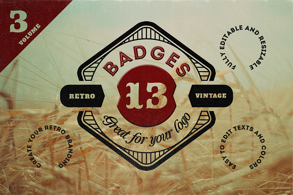 13 Retro Signs or Badges v.3 in Objects - product preview 2