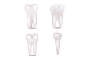 3d White Healthy Teeth Set. Vector