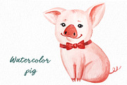 Watercolor pig