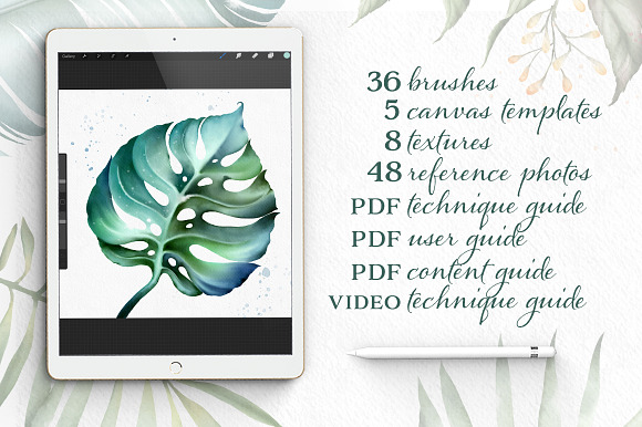 Procreate Watercolor Botanical Kit in Photoshop Brushes - product preview 1