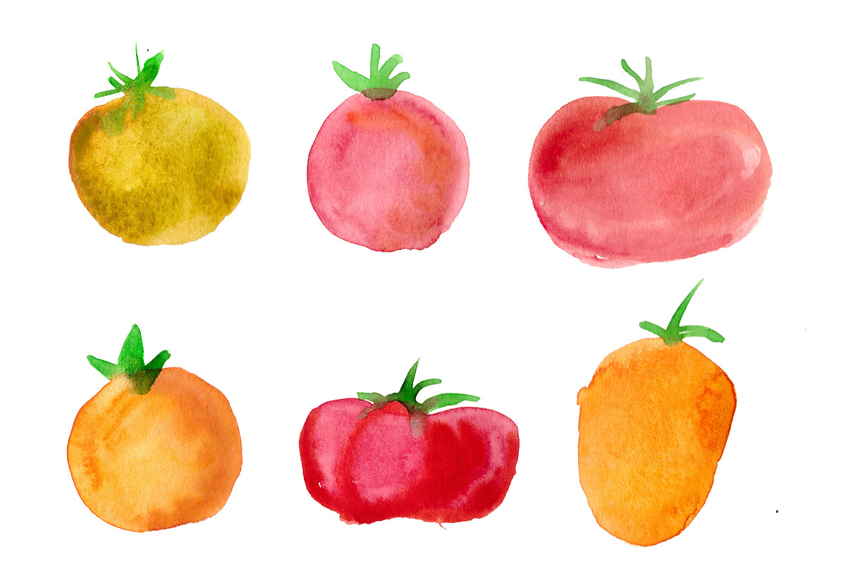 tomatoes watercolor in Illustrations - product preview 8