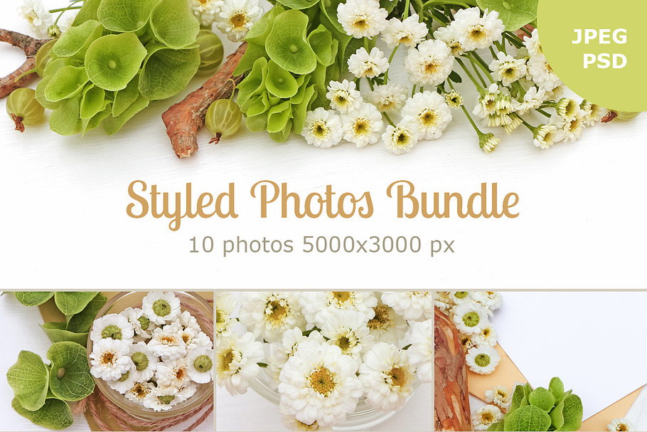 Styled Photos Bundle with Molucella