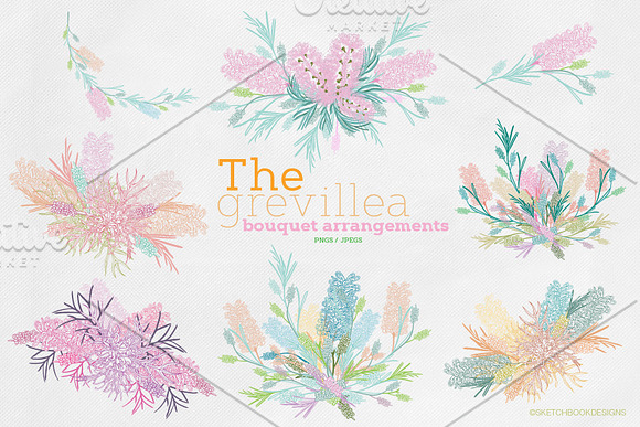 The Grevillea Design Collection in Illustrations - product preview 1