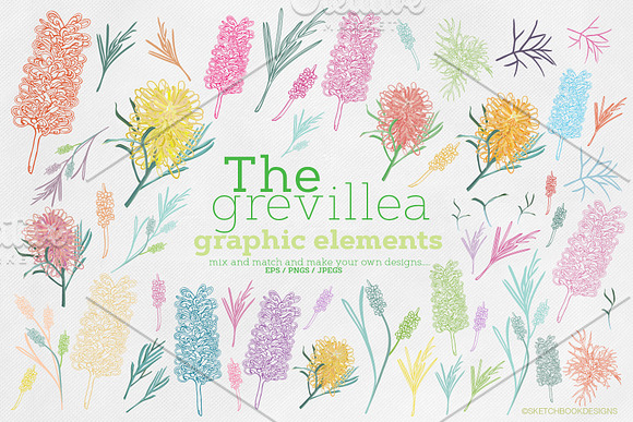 The Grevillea Design Collection in Illustrations - product preview 3