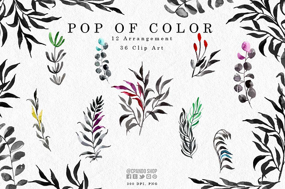 Pop of color- watercolor leaves clip in Illustrations - product preview 2