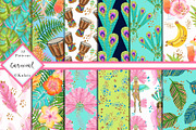 Carnival Digital Papers / Patterns
