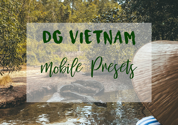 DG VIETNAM MOBILE PRESETS in Photoshop Plugins - product preview 3