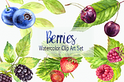 Watercolor Berries Clip Art Set