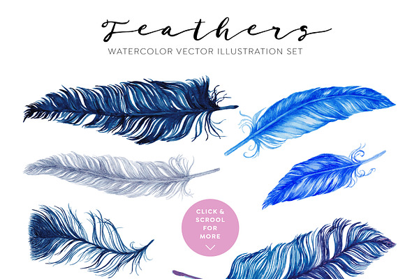 60 Watercolor Vector Feathers
