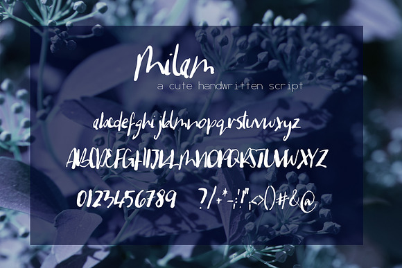 Milam Font in Script Fonts - product preview 6