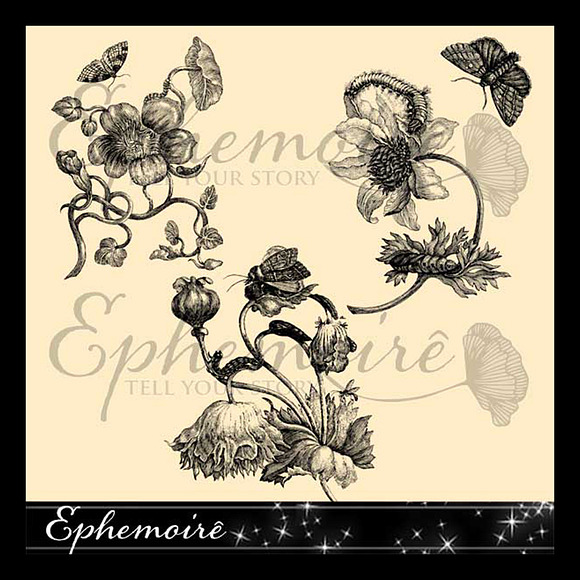 Vintage Botanical Photoshop Brushes in Photoshop Brushes - product preview 1