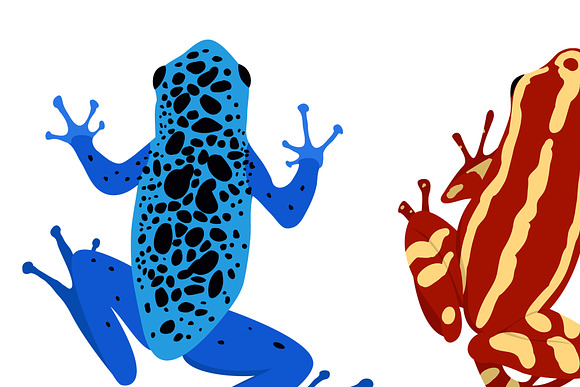 Set of different frogs, flat design. in Illustrations - product preview 1