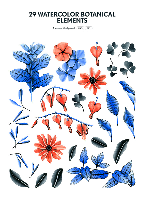 Watercolor Botany Art in Illustrations - product preview 1