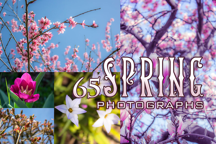 65 Spring Blossom Photos in Graphics - product preview 8