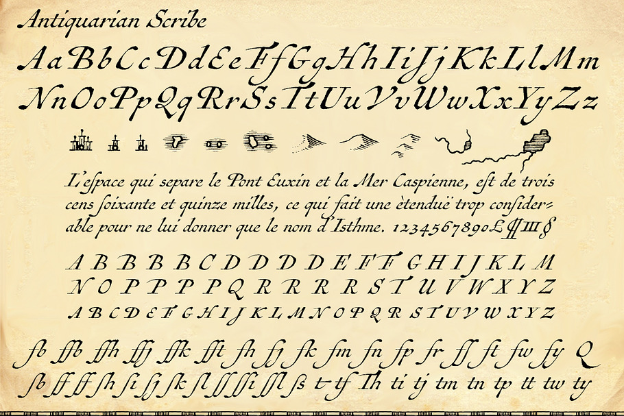 Antiquarian Scribe
