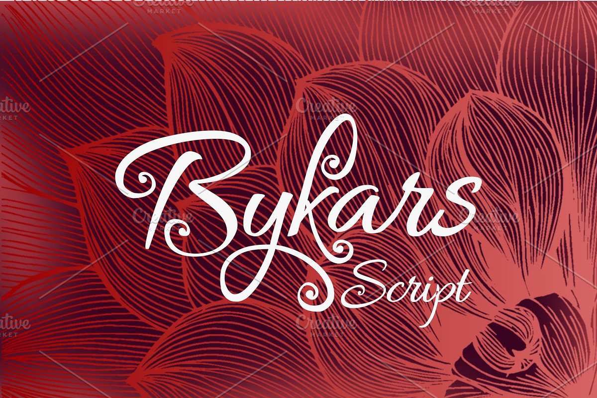 Bykars in Script Fonts - product preview 8