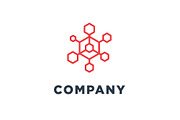 Hexagon Connection Logo