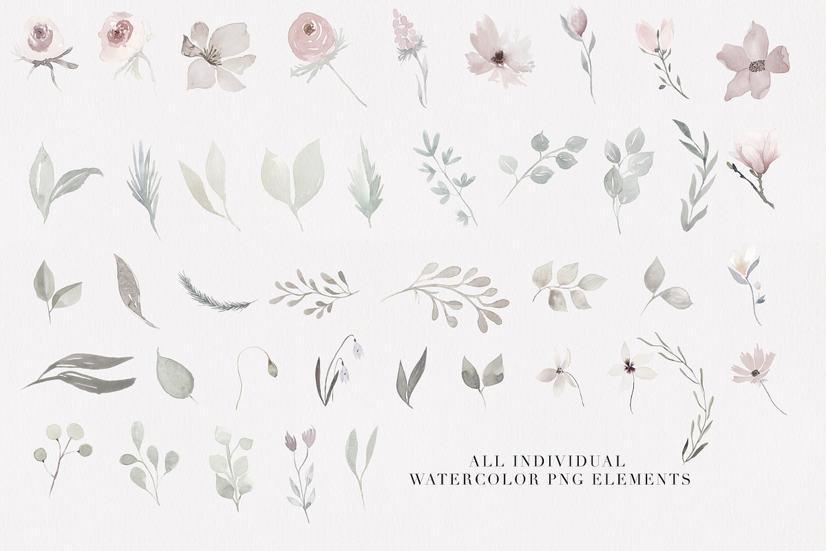 Bloom & Flourish - Floral Clipart in Illustrations - product preview 8