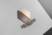 Hexagon Logo Version4