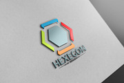 Hexagon Logo Version6