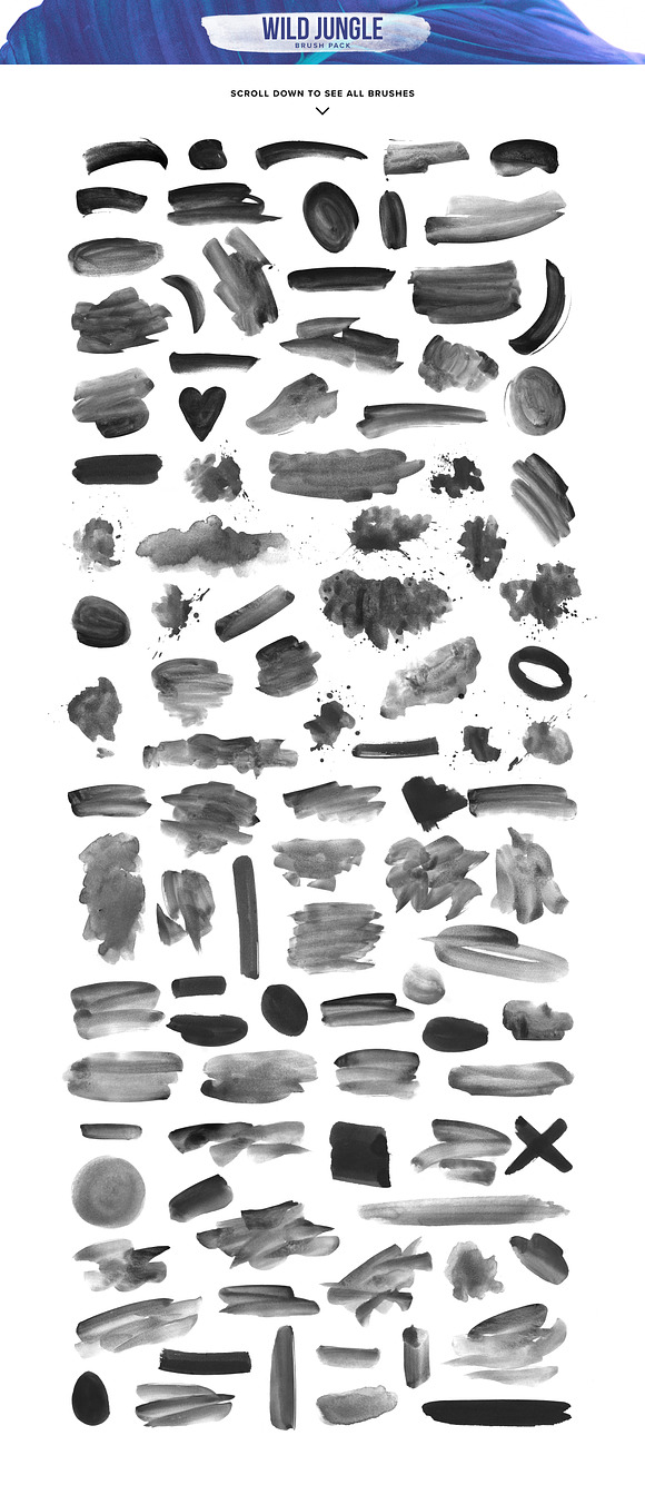 Wild Jungle - Brush pack in Photoshop Brushes - product preview 1