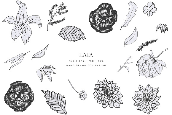 Flower doodles clipart - Laia in Illustrations - product preview 2