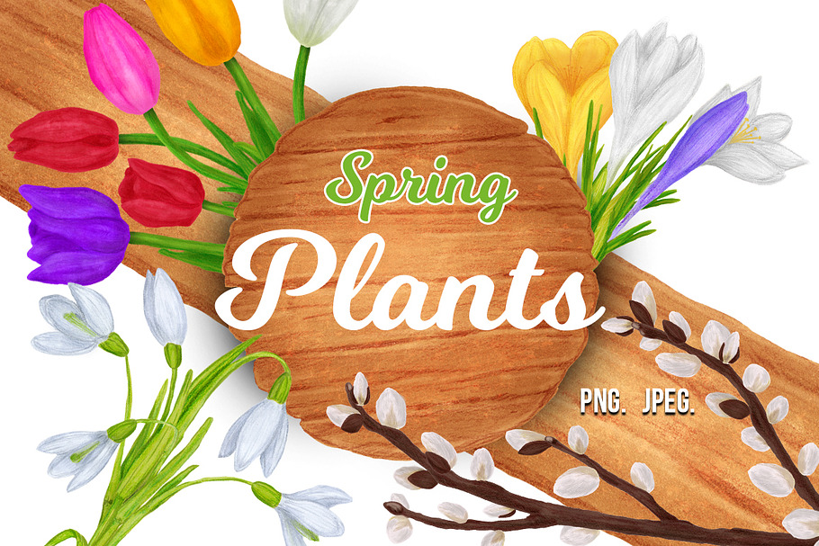 Spring plants in Objects - product preview 8