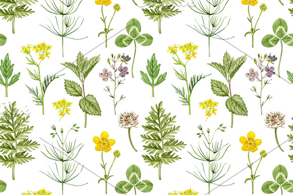 Meadow flowers in Illustrations - product preview 4