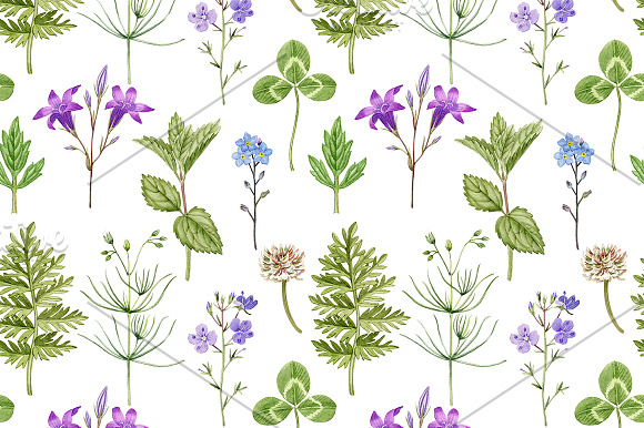 Meadow flowers in Illustrations - product preview 5