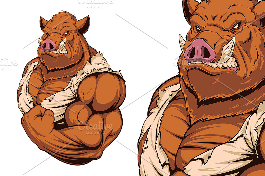 Strong ferocious boar