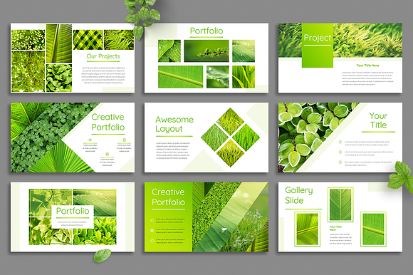 Leaf - Powerpoint Template in PowerPoint Templates - product preview 3