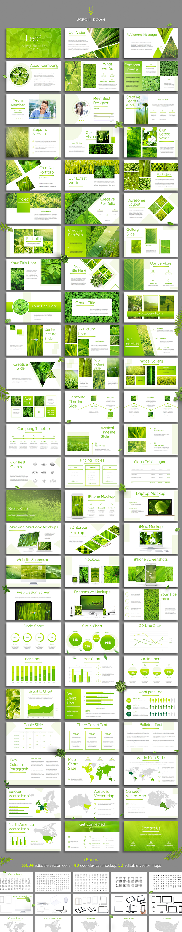 Leaf - Powerpoint Template in PowerPoint Templates - product preview 11